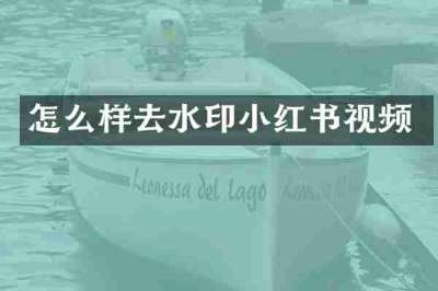 怎么样去水印小红书视频