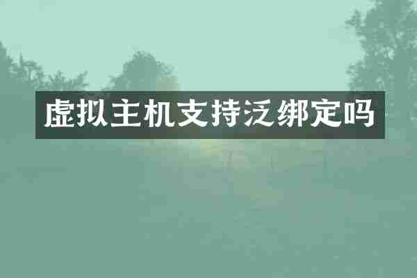 虚拟主机支持泛绑定吗