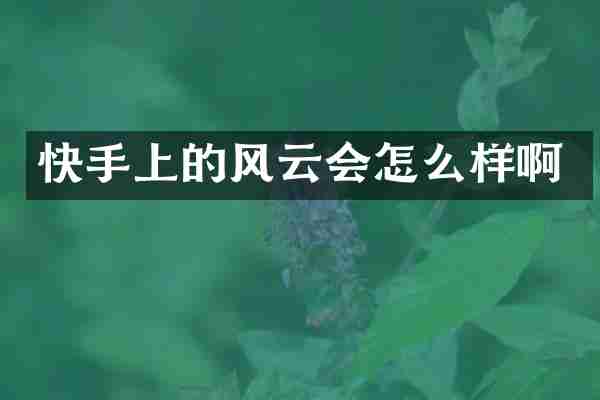 快手上的风云会怎么样啊