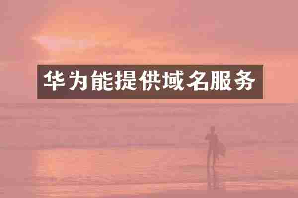 华为能提供域名服务