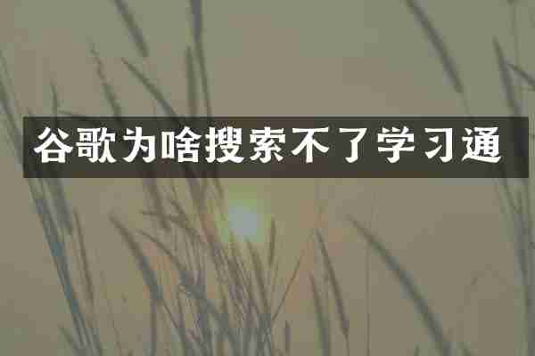 谷歌为啥搜索不了学习通