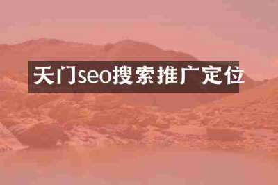 天门seo搜索推广定位