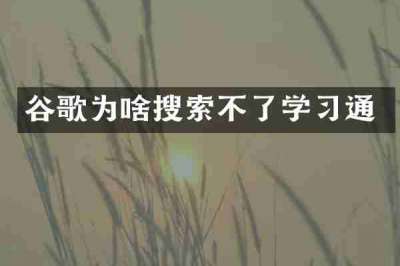 谷歌为啥搜索不了学习通
