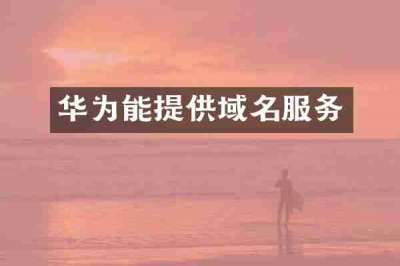 华为能提供域名服务