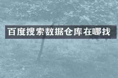 百度搜索数据仓库在哪找