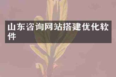 山东咨询网站搭建优化软件