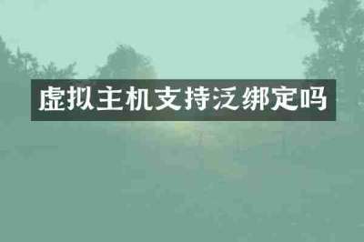 虚拟主机支持泛绑定吗