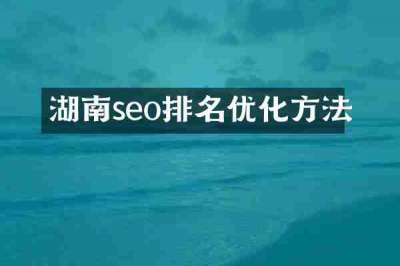 湖南seo排名优化方法