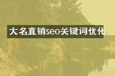 大名直销seo关键词优化