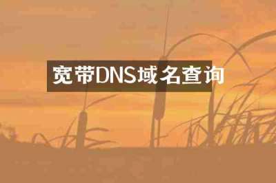 宽带DNS域名查询