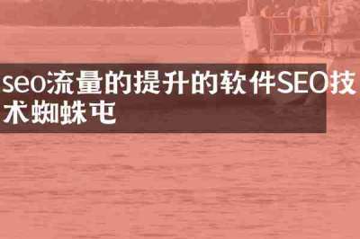 seo流量的提升的软件SEO技术蜘蛛屯