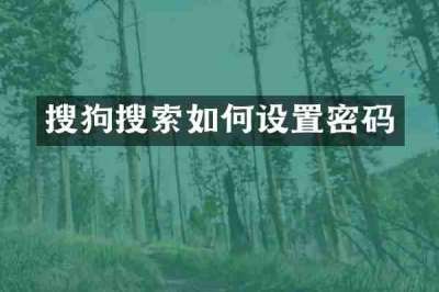 搜狗搜索如何设置密码