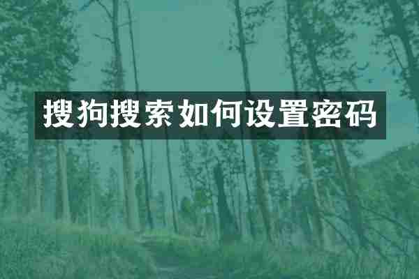 搜狗搜索如何设置密码