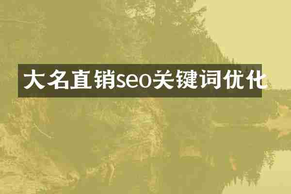 大名直销seo关键词优化