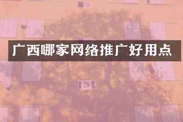 广西哪家网络推广好用点