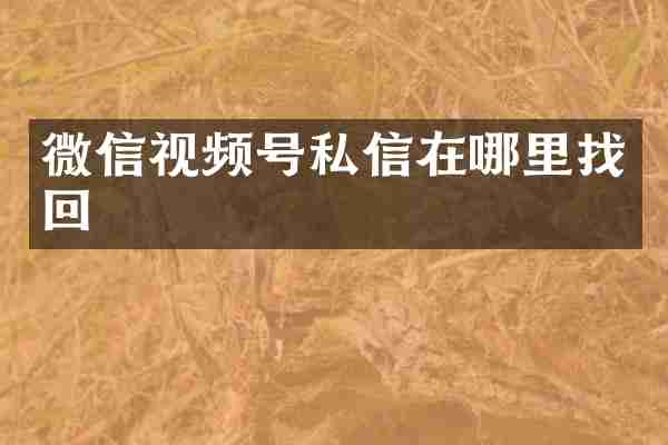 微信视频号私信在哪里找回