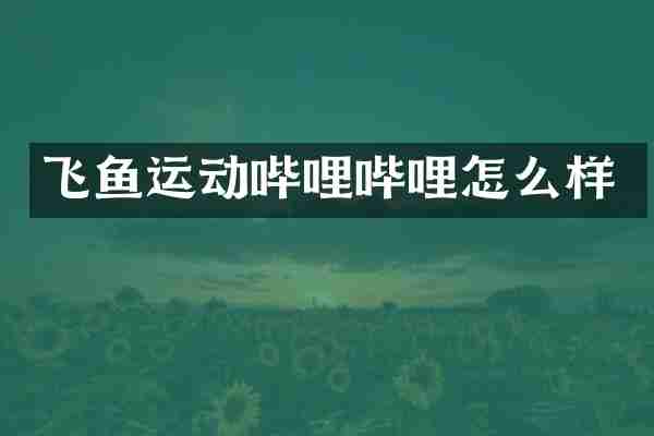 飞鱼运动哔哩哔哩怎么样