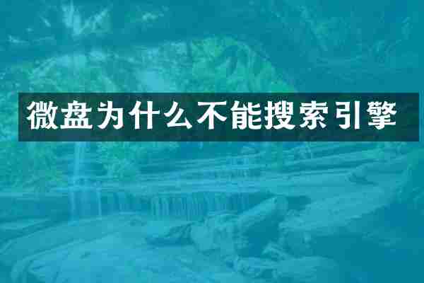 微盘为什么不能搜索引擎
