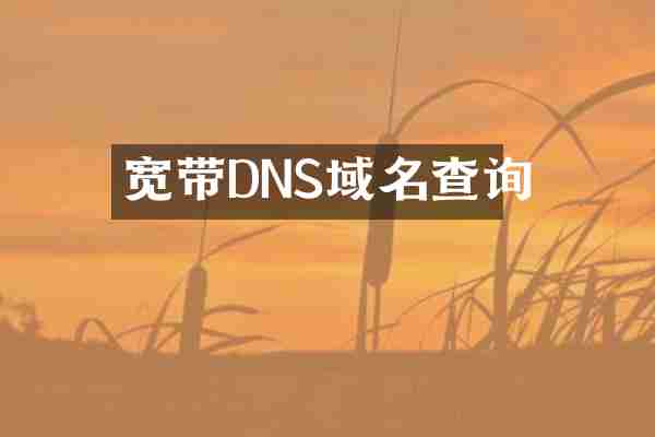 宽带DNS域名查询
