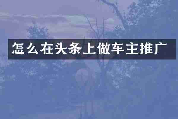 怎么在头条上做车主推广