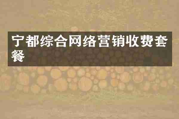 宁都综合网络营销收费套餐