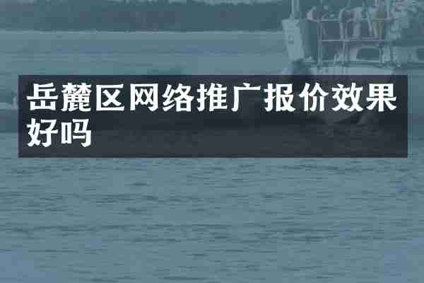岳麓区网络推广报价效果好吗
