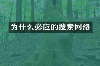 为什么必应的搜索网络