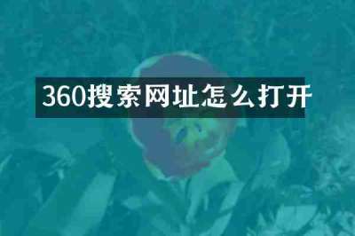 360搜索网址怎么打开