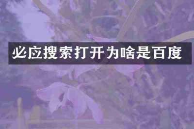 必应搜索打开为啥是百度