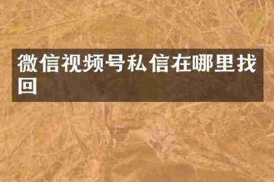 微信视频号私信在哪里找回