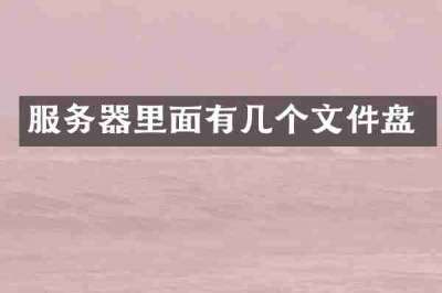 服务器里面有几个文件盘