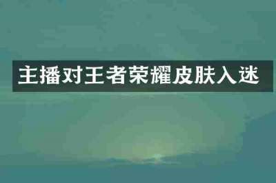 主播对王者荣耀皮肤入迷