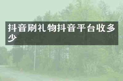 抖音刷礼物抖音平台收多少