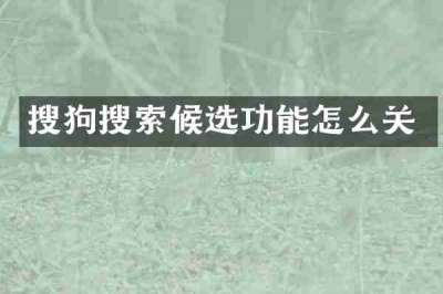 搜狗搜索候选功能怎么关