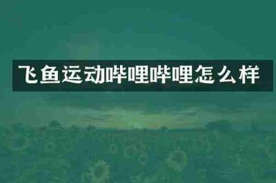 飞鱼运动哔哩哔哩怎么样