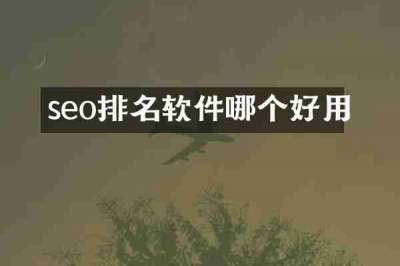 seo排名软件哪个好用