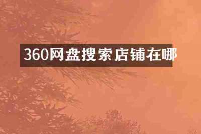 360网盘搜索店铺在哪