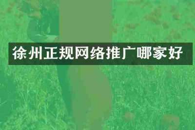 徐州正规网络推广哪家好