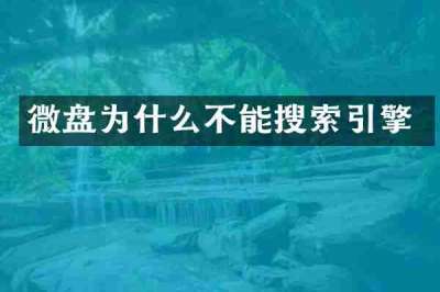 微盘为什么不能搜索引擎