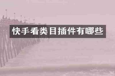 快手看类目插件有哪些