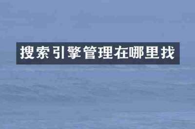 搜索引擎管理在哪里找