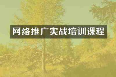网络推广实战培训课程
