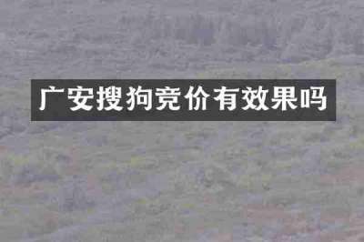 广安搜狗竞价有效果吗