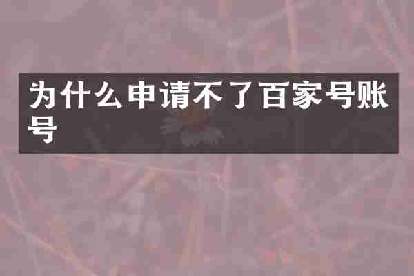 为什么申请不了百家号账号