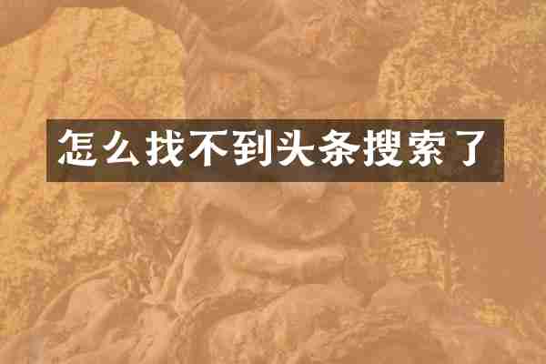 怎么找不到头条搜索了