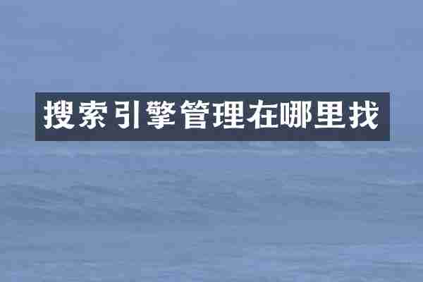 搜索引擎管理在哪里找