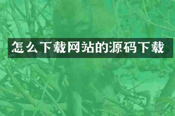 怎么下载网站的源码下载