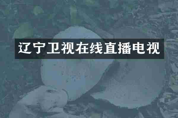 辽宁卫视在线直播电视
