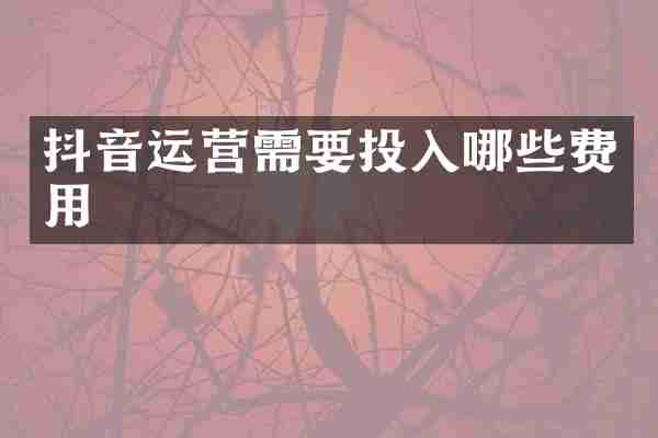 抖音运营需要投入哪些费用