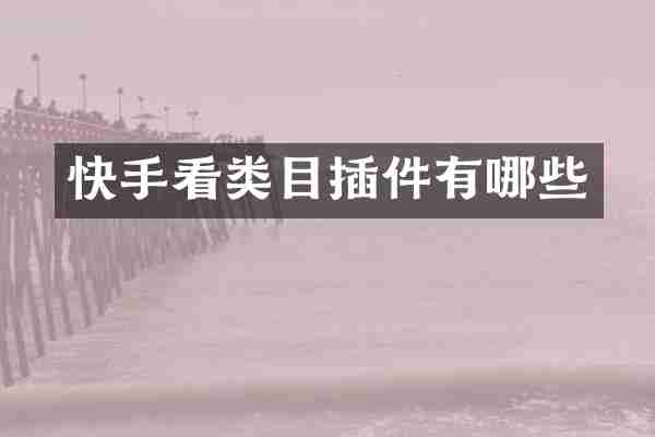 快手看类目插件有哪些